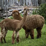Farm stay Azuria Pisz