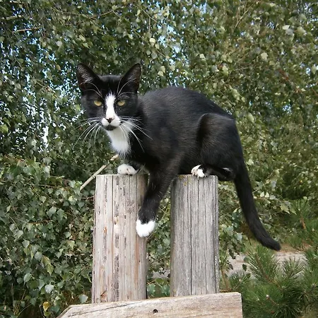 Azuria مزرعة للإقامة