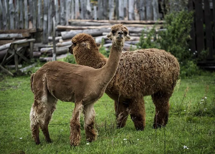 Farm stay Azuria Pisz